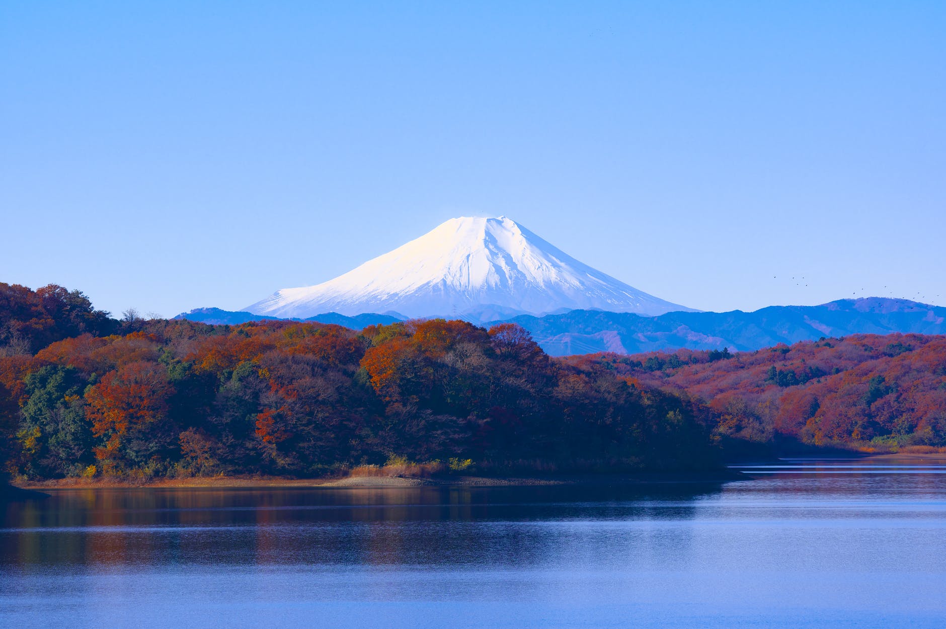 what-are-the-present-quarantine-and-travel-restrictions-in-japan